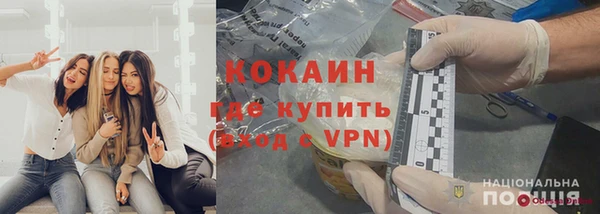 индика Арсеньев