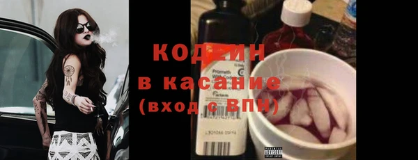 индика Арсеньев