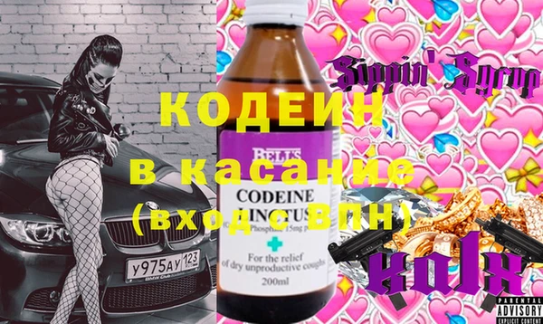 индика Арсеньев