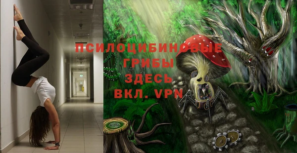 индика Арсеньев