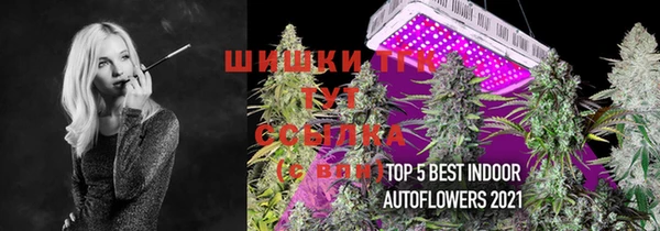 тгк Аркадак