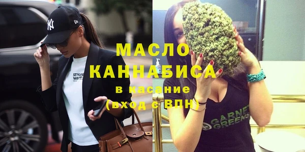 индика Арсеньев